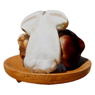 密农人家 新鲜赤松茸 林下松茸菌菇 鲜蘑菇 每日现采赤松茸300g