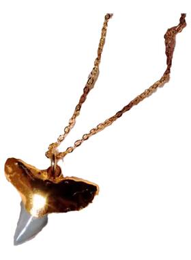 手作波西米亚黑金化石牙齿项链