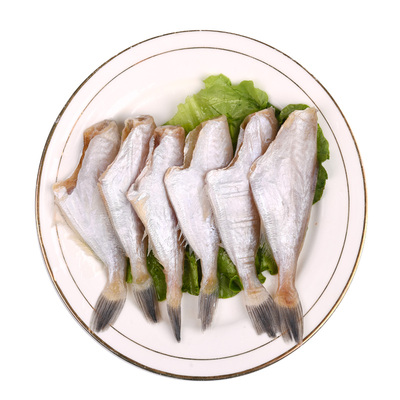 中号马面鱼冷冻耗儿鱼