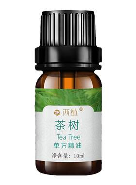 澳洲茶树单方精油控油茶树