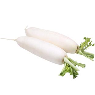 兰溪小萝卜种子四季小白水果罗卜籽大全腌制菜籽拇指春四季蔬菜籽