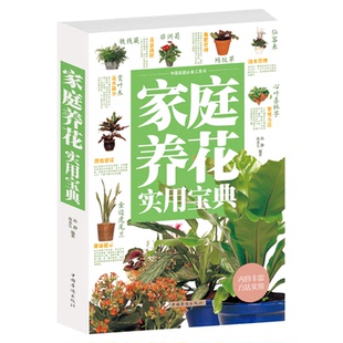 正版包邮 家庭养花实用宝典(白金版)花入门书籍多肉植物栽培技巧 家庭养花实用大全集插花艺花卉种植书籍盆景制作养殖书教程