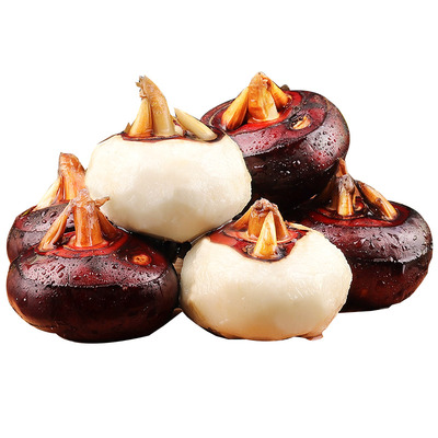 马蹄新鲜现挖5斤荸荠大果甜当季大地脆栗梨农家水果去皮饽荠蔬菜