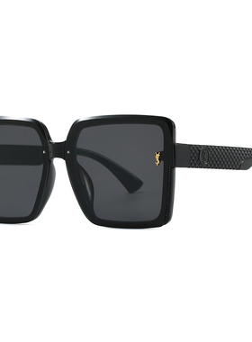 2026新款女士大框防紫外线墨镜