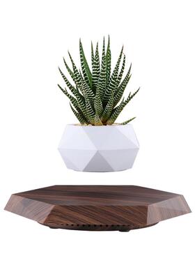 磁悬浮花盆反重力盆栽办公室摆件