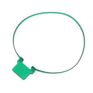 改造H康康Roulis Slim猪鼻子包包带子斜跨Evercolor真牛皮细肩带