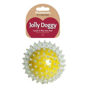 英国rosewood宠物狗玩具球磨牙耐咬弹力球抑菌无声发声球巡回互动