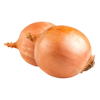 洋葱种子黄皮红皮圆葱种四季播