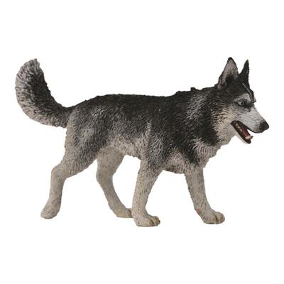 CollectA哈士奇雪橇犬动物模型