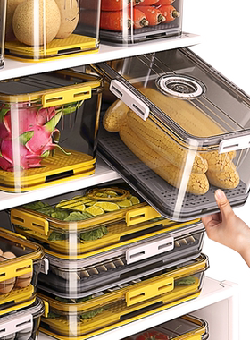 冰箱收纳盒食品级专用保鲜密封