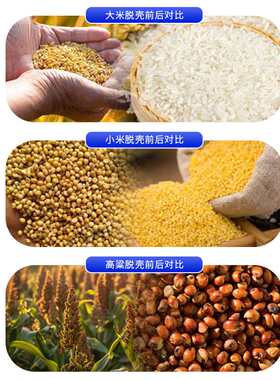 新款碾米机商用大米去虫处理加工机器五谷小米稻谷剥壳大型打米机