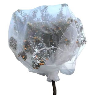 防鸟防虫网罩果树蔬园艺防冰雹病虫害蚊虫果蝇针蜂透明白纱网套罩