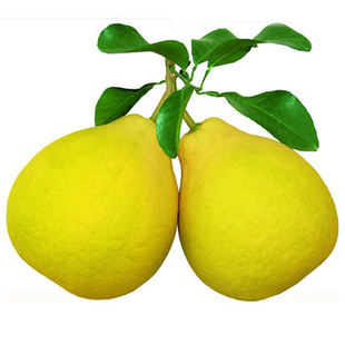 湘超冠军柚-永州队江永香柚 老树沙田柚子纯甜不酸正宗老树柚子