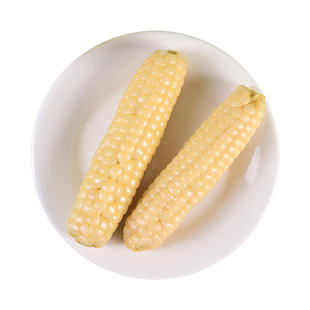 滇食部落四小时采摘精品级西双版纳拇指玉米真空即食独立包装