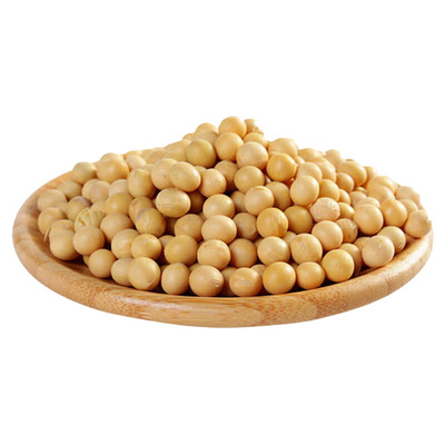 东北黄豆新大豆非转基因打豆浆生豆芽当季新豆1/2/5/10斤