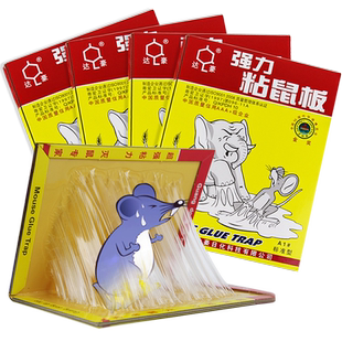 达豪老鼠粘强力粘鼠板加大加厚家用粘大老鼠一窝端老鼠贴捕鼠神器