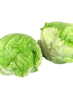 蔬菜汉堡沙拉食材球生菜10斤