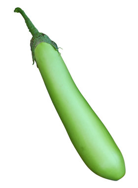 四季茄子苗蔬菜秧苗大全