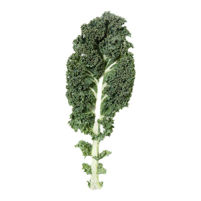新鲜羽衣甘蓝嫩叶片2斤装