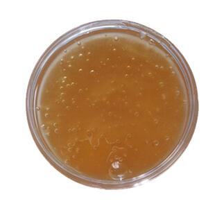 自产无添加天然结晶全封盖成熟土蜂蜜封盖蜂蜜中华蜂蜂蜜1000克