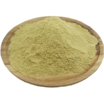 石斛世家二级铁皮石斛现磨雁荡山