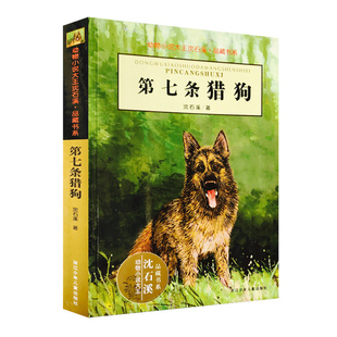 正版 第七条猎狗 动物小说大王沈石溪 品藏书系完整版全本6-7-10-12-15岁儿童文学三四五六年级小学生课外阅读 少儿故事畅销书籍