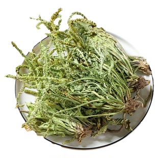 车前草500g克干货官方旗舰店带根非中药材新鲜袋泡茶不野生绞股蓝
