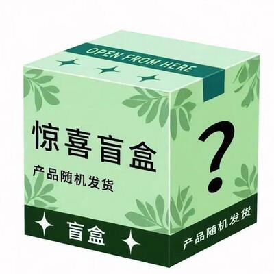 高端全新潮玩电子盲盒整箱装送礼
