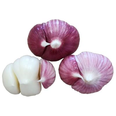 云南紫皮大蒜三丫蒜大果新蒜