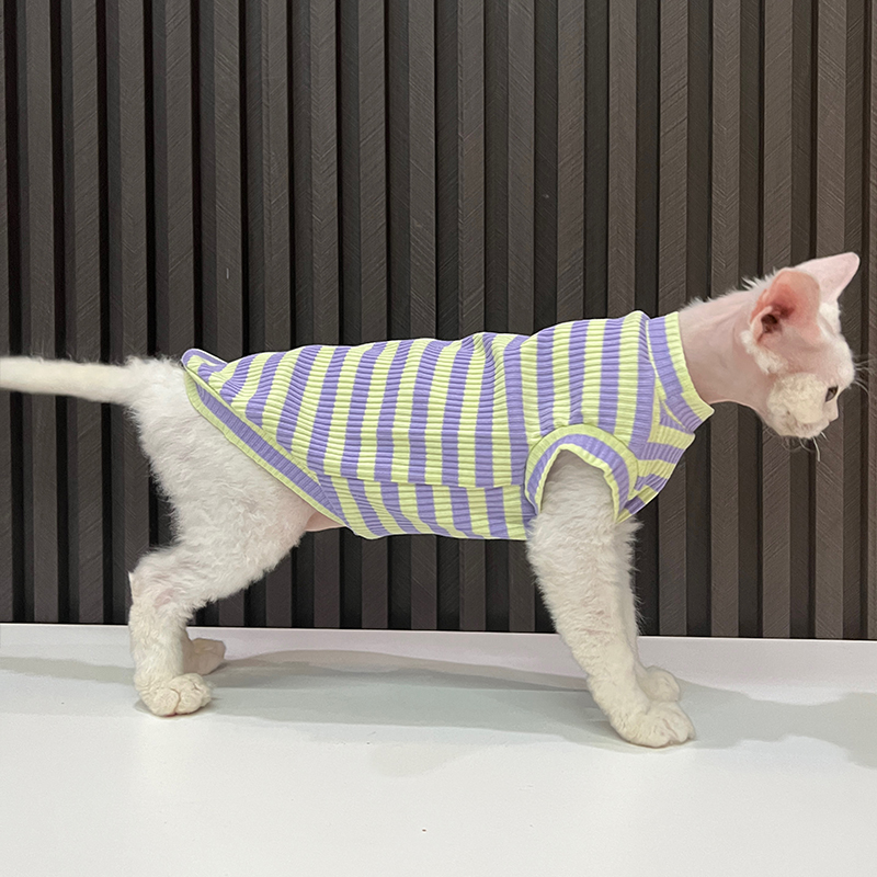 纯棉条纹空调服背心高弹好穿任发财无毛猫衣服斯芬克斯猫德文