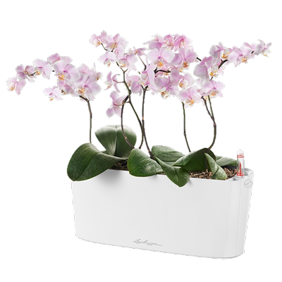 自动吸水树脂轻奢风德国进口