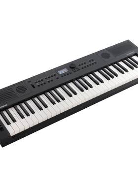 Roland罗兰 GOKEYS5音乐创作键盘电钢琴便携61键GO:KEYS 5电子琴