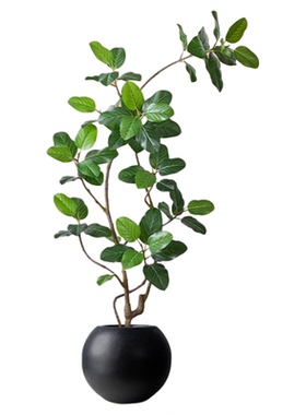 仿真绿植孟加拉榕客厅橱窗装饰