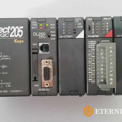 Direct Logic 205 Koyo  DL250-1 CPU  D2-CTRINT  F2-08TRS  D2-