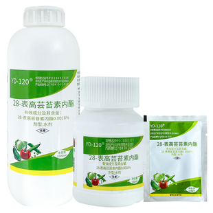 云大120 28表高芸苔素内酯芸台素水稻大豆调节生长植物生长调节剂