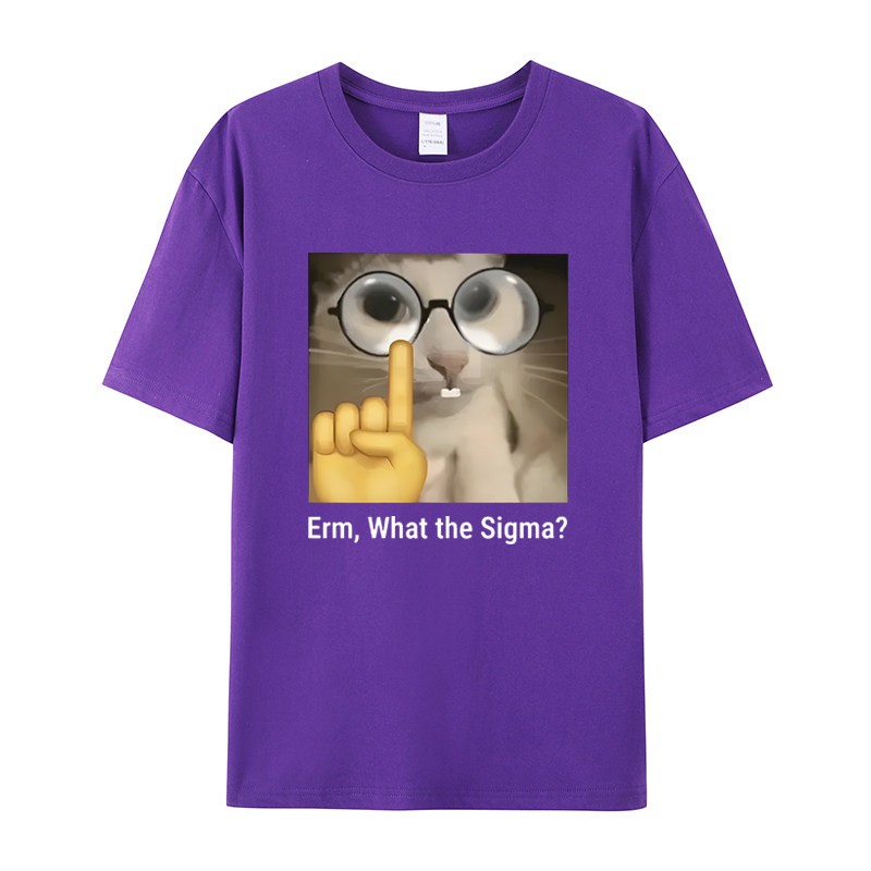 Erm, what Sigma?有趣的表情包t恤男女愚蠢的猫幽默印花时尚短袖