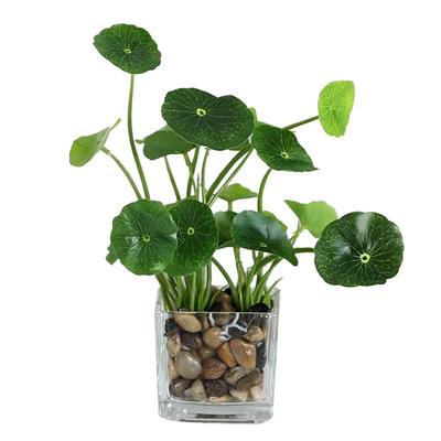 餐桌茶几办公室装饰花仿真植物