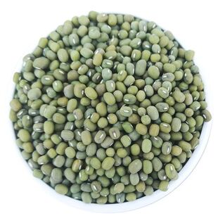 山西特产忻州毛绿豆农家自产新绿豆大颗粒芽绿生豆芽绿豆粥绿豆芽