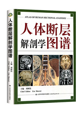 人体断层解剖学图谱局部