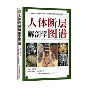 人体断层解剖学图谱局部