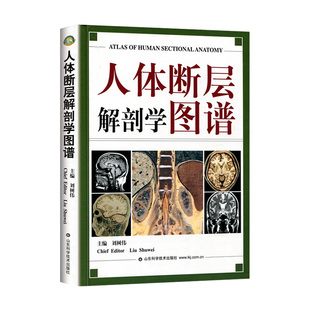A人体断层解剖学图谱(精) CT人体断层局部解剖影像学 人体解剖学断面解剖学图谱 刘树伟主编 山东科学技术出版社