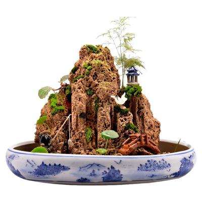 天然吸水石盆景原石上水