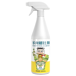 多肉专用矮胖素控型增色防徒长矮壮剂肥料植物营养液矮化剂优芽素