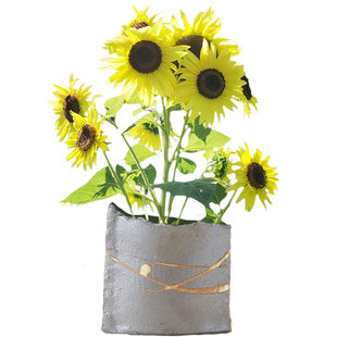 柠檬女王切花向日葵种子传家宝观赏食用阳台春秋盆栽花卉抗病易种