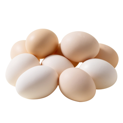 正宗农家鲜鸡蛋新鲜谷物鲜蛋健康营养新鲜现捡现发谷物喂养40g/枚