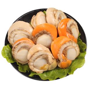 扇贝肉新鲜冷冻带黄特大无冰衣扇贝肉超大烧烤蒜蓉鲜贝肉商用批发