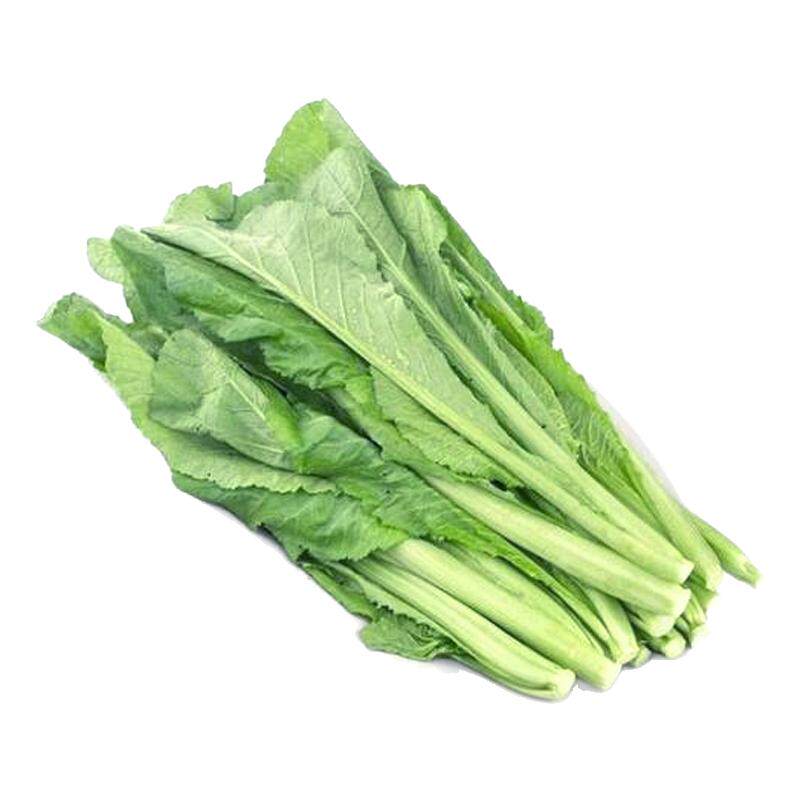 新鲜春菜500g潮汕新鲜农家蔬菜小芥菜广东菜微苦青菜