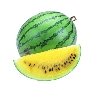 日本进口 小凤西瓜种子 绿皮黄瓤 礼品型小西瓜 早熟耐低温耐弱光