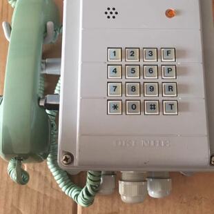OKI 1310-1N