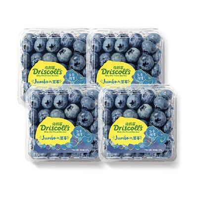 DRISCOLL'S/怡颗莓云南蓝莓